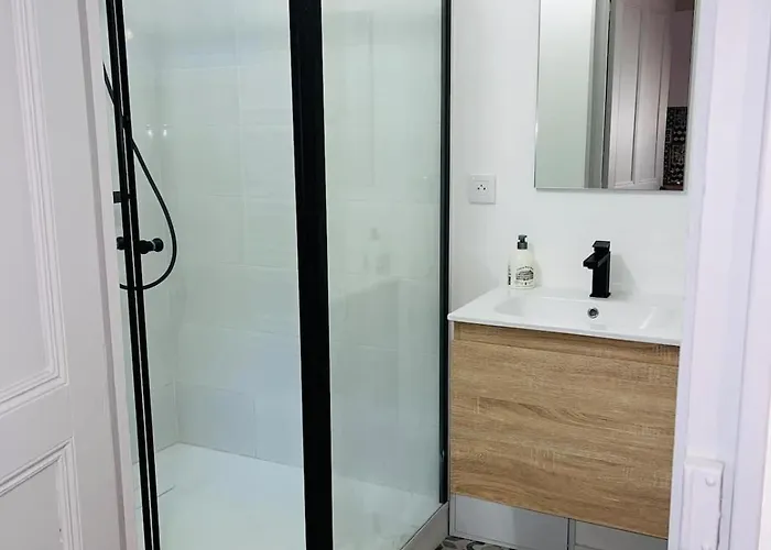 Henri Ll L Terrasse L Proche Gare&centre Castres (Tarn)